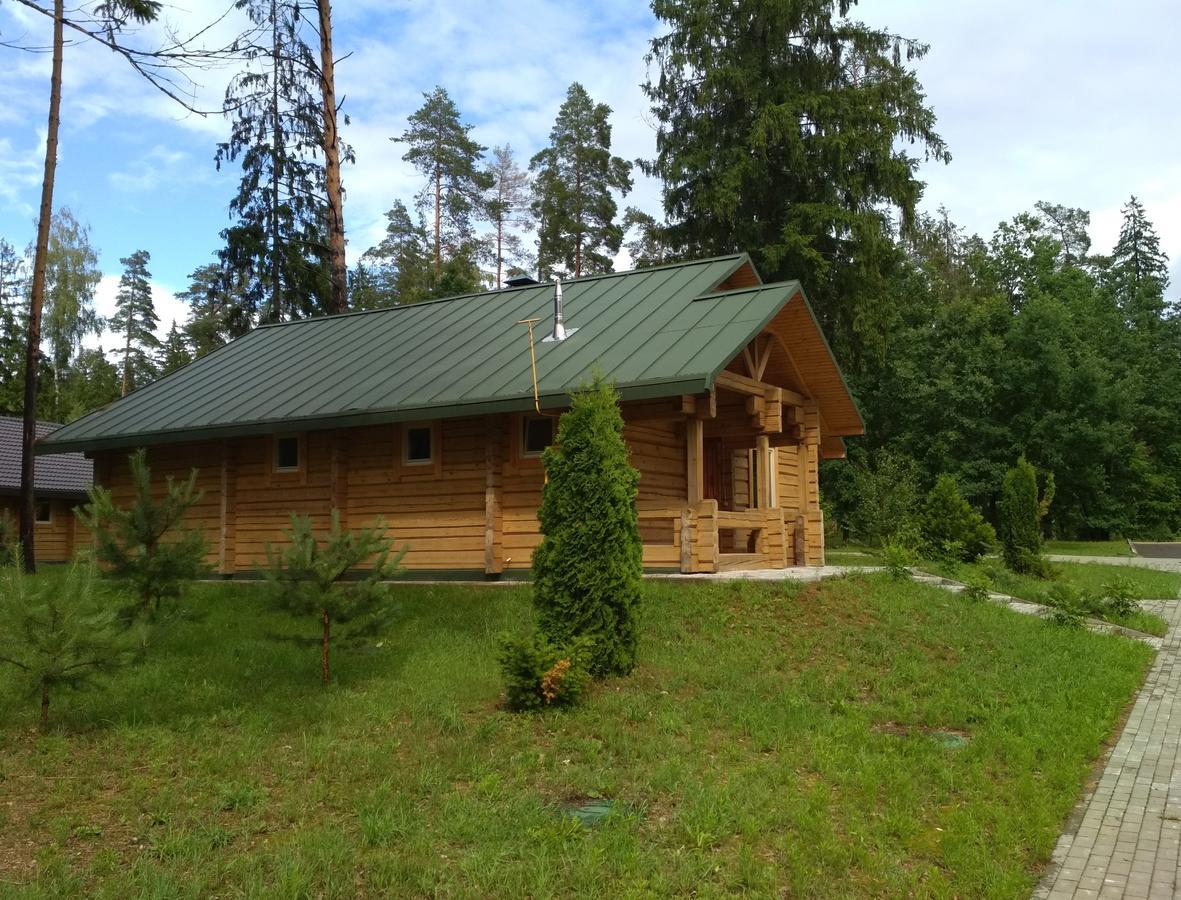 Green Park Hotel Airport Minsk 锡利奇 外观 照片