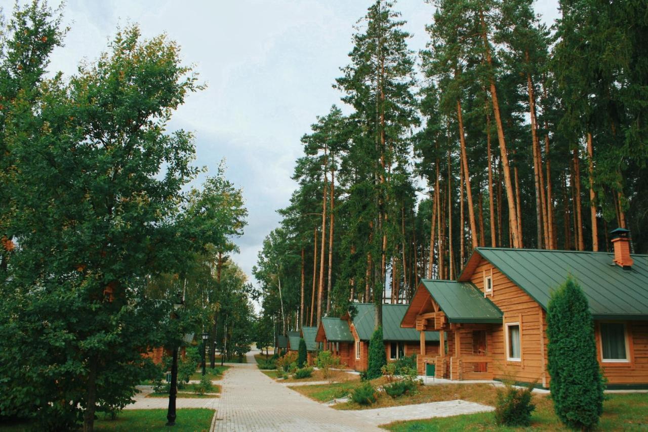 Green Park Hotel Airport Minsk 锡利奇 外观 照片