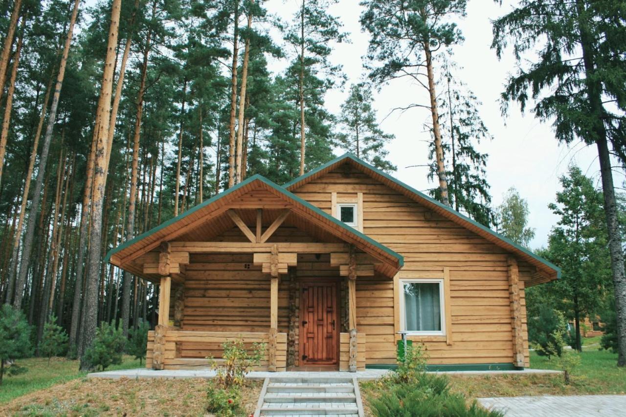 Green Park Hotel Airport Minsk 锡利奇 外观 照片