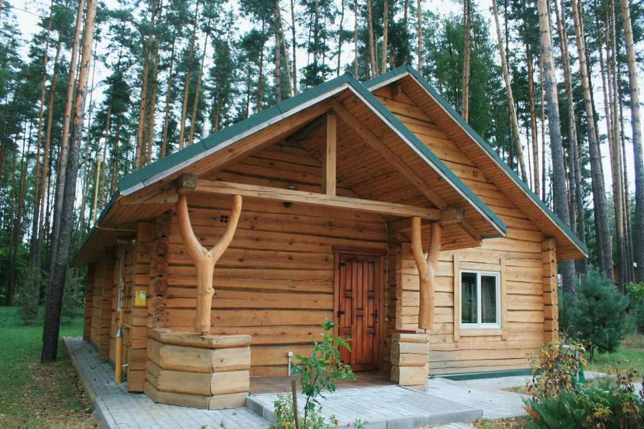 Green Park Hotel Airport Minsk 锡利奇 外观 照片
